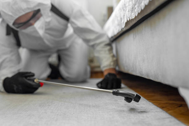 Professional Bed Bug Control technician working in Edgewater, FL