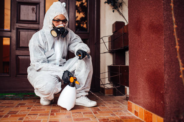 Reliable Bed Bug Control contractor in Edgewater, FL by Nex Pest Control